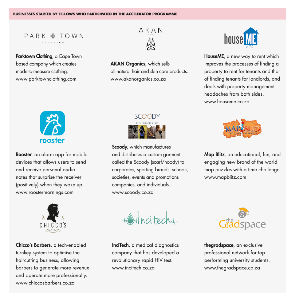 Businesses started by fellows who participated in the accelerator programme